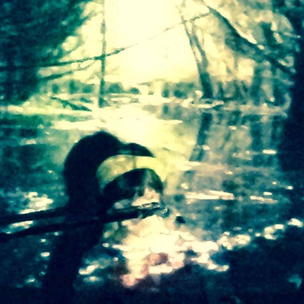 10552439_700061333416351_8499446135736116033_n