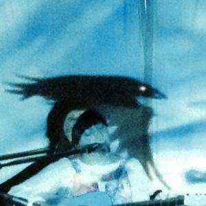 10710798_10152251248436923_3521256202523999088_n